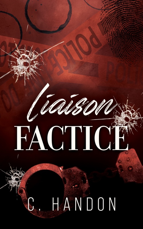 Couverture ebook de Liaison factice, de C. Handon