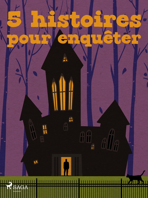 ebook cover of 5 histoires pour enquêter, by Edgar Edgar Allan, Emile Gaboriau, H. J. Magog, Jules Renard, Robert Louis Stevenson