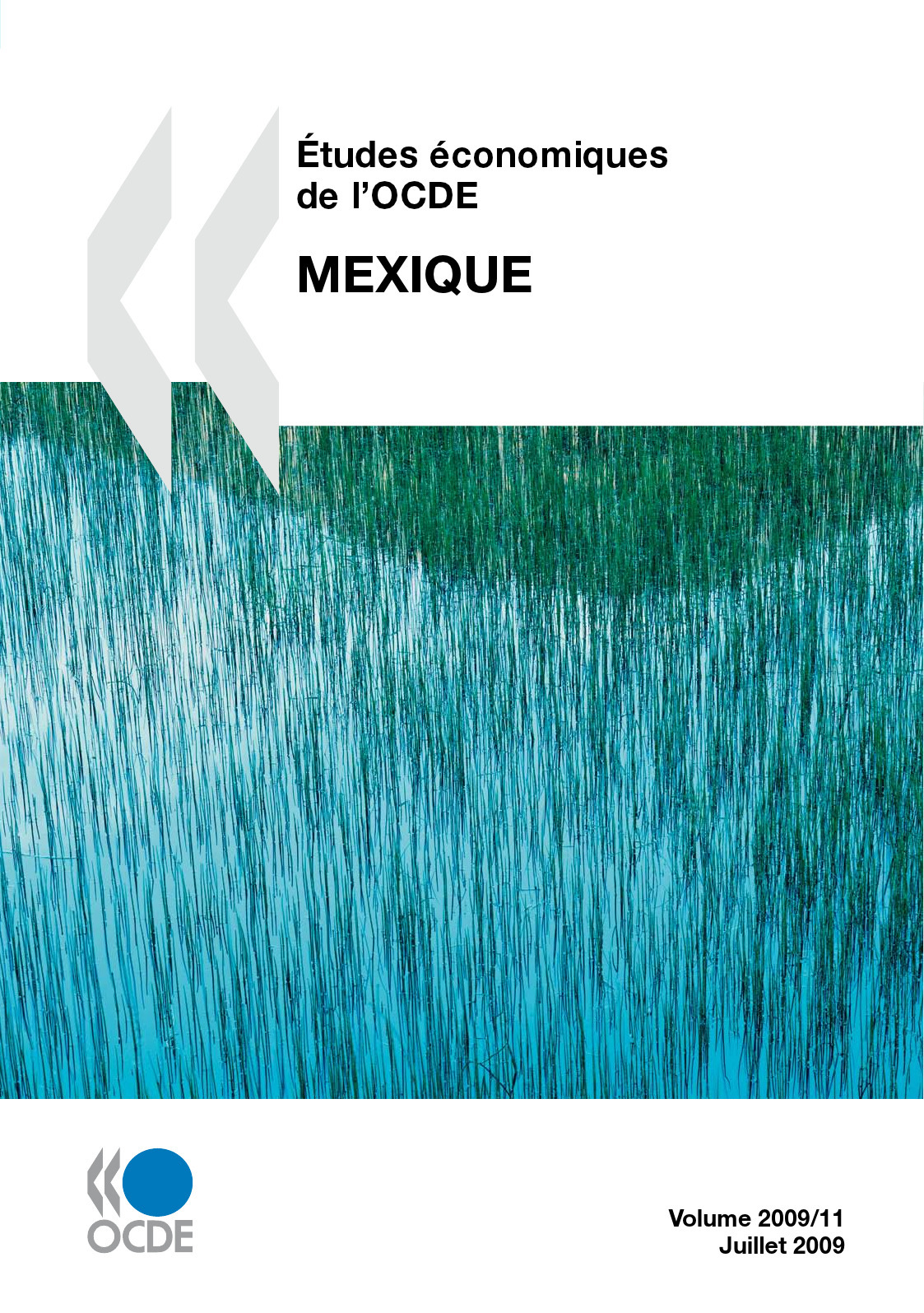 Couverture ebook de Études économiques de l'OCDE : Mexique 2009, de Collectif