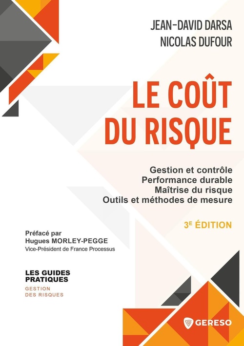 ebook cover of Le coût du risque, by Jean-David Darsa, Nicolas Dufour