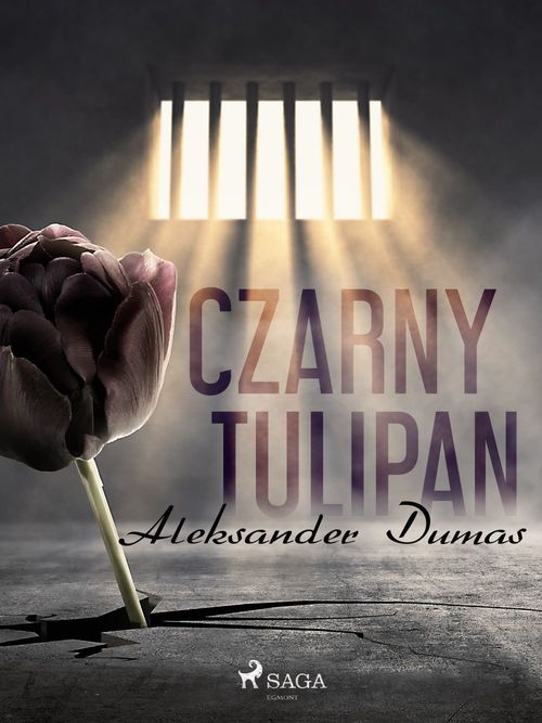 ebook cover of Czarny tulipan, by Aleksander Dumas