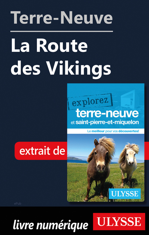 ebook cover of Terre-Neuve : La Route des Vikings, by Benoit Prieur, Frederique Sauvee