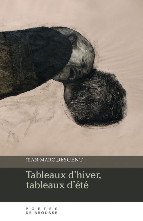 ebook cover of Tableaux d´hiver,  tableaux d´été, by Jean-Marc Desgent