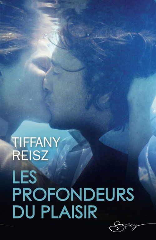 Couverture ebook de Les profondeurs du plaisir, de Tiffany Reisz