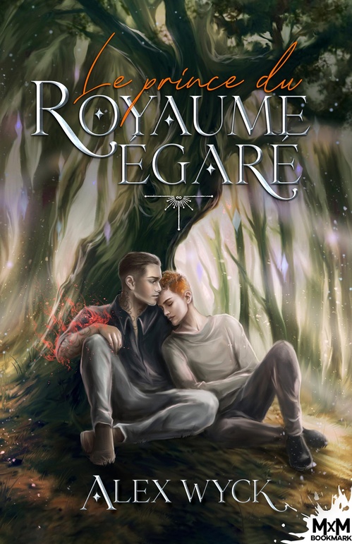 Couverture ebook de Le prince du royaume égaré, de Alex Wyck