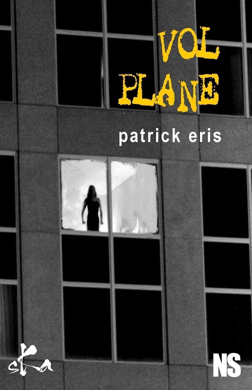 ebook cover of Vol Plané, by Patrick Eris
