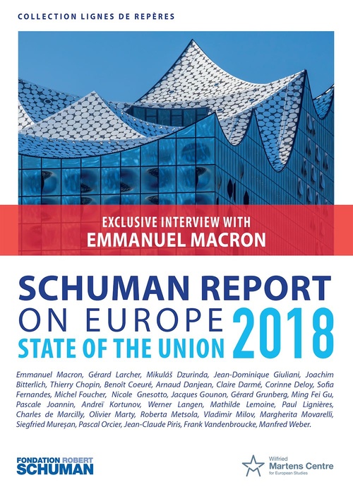 ebook cover of Schuman report on Europe, by Michel Foucher, Thierry Chopin