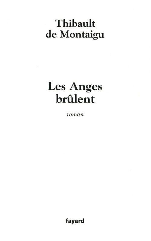 Couverture ebook de Les Anges brûlent, de Thibault de Montaigu