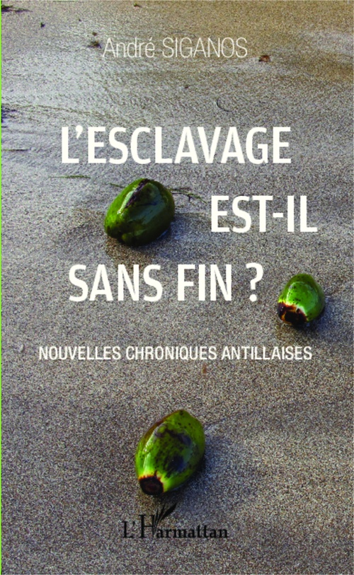 Couverture ebook de L'esclavage est-il sans fin ?, de André Siganos