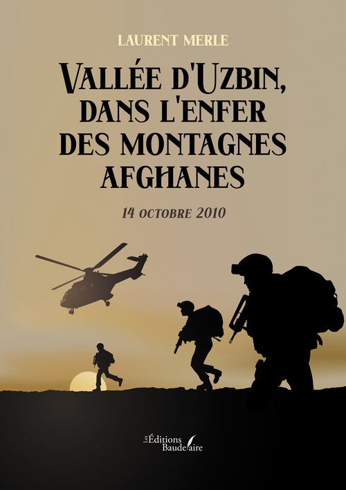 ebook cover of Vallée d'Uzbin, dans l'enfer des montagnes afghanes, by Merle Laurent