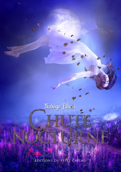Couverture ebook de Chute nocturne, de Nadège Fillion