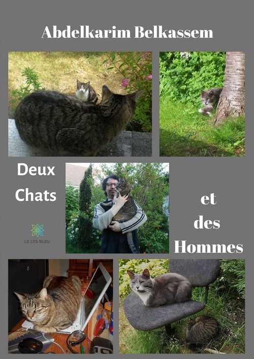 ebook cover of Des Chats et des Hommes, by Abdelkarim Belkassem