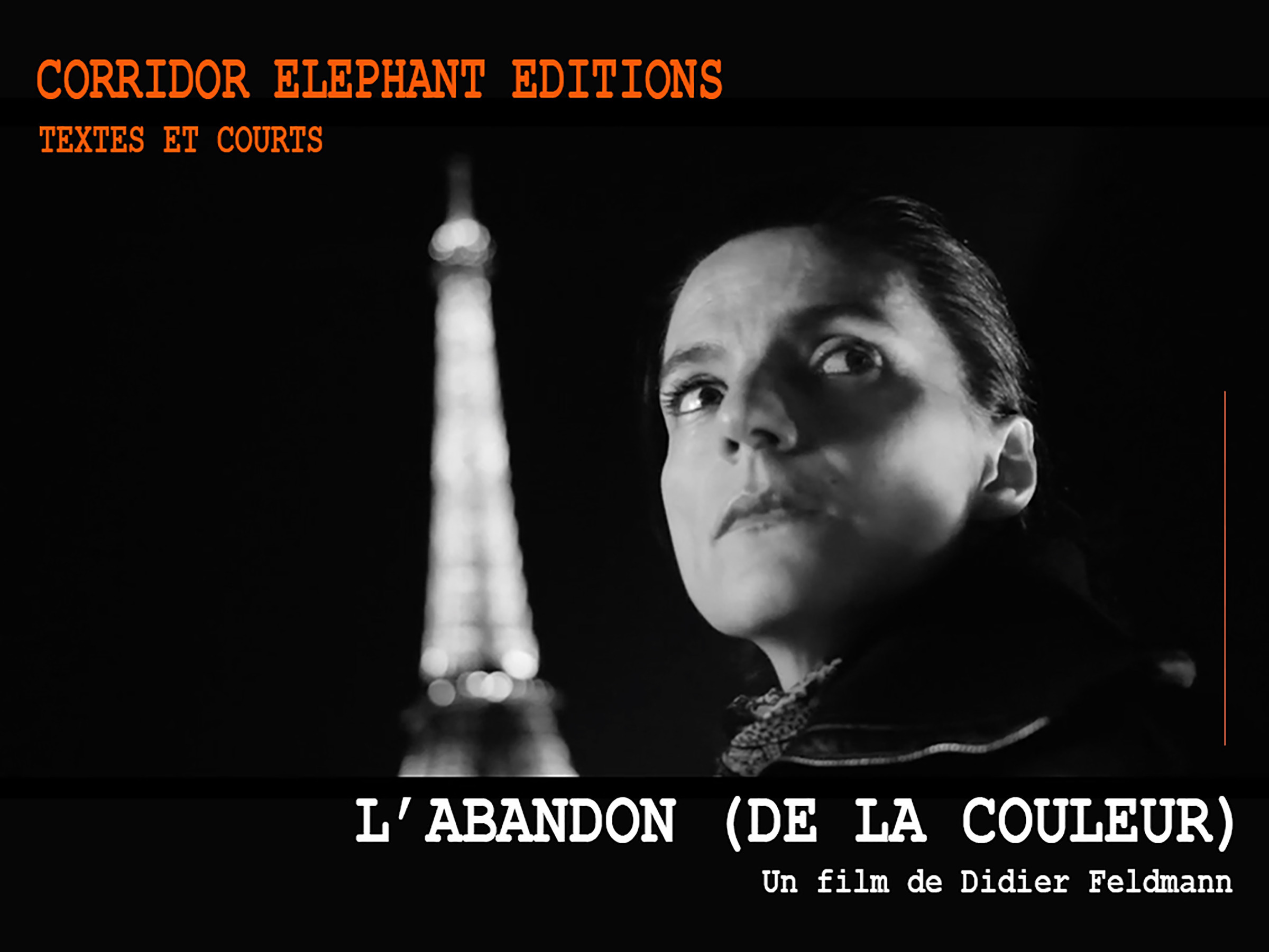 Couverture ebook de L'abandon (de la couleur), de Didier Feldman