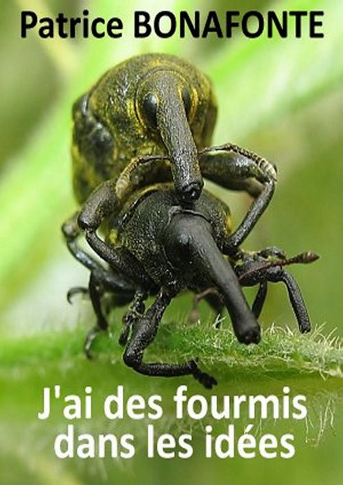 ebook cover of J'ai des fourmis dans les idées, by Patrice Bonafonte