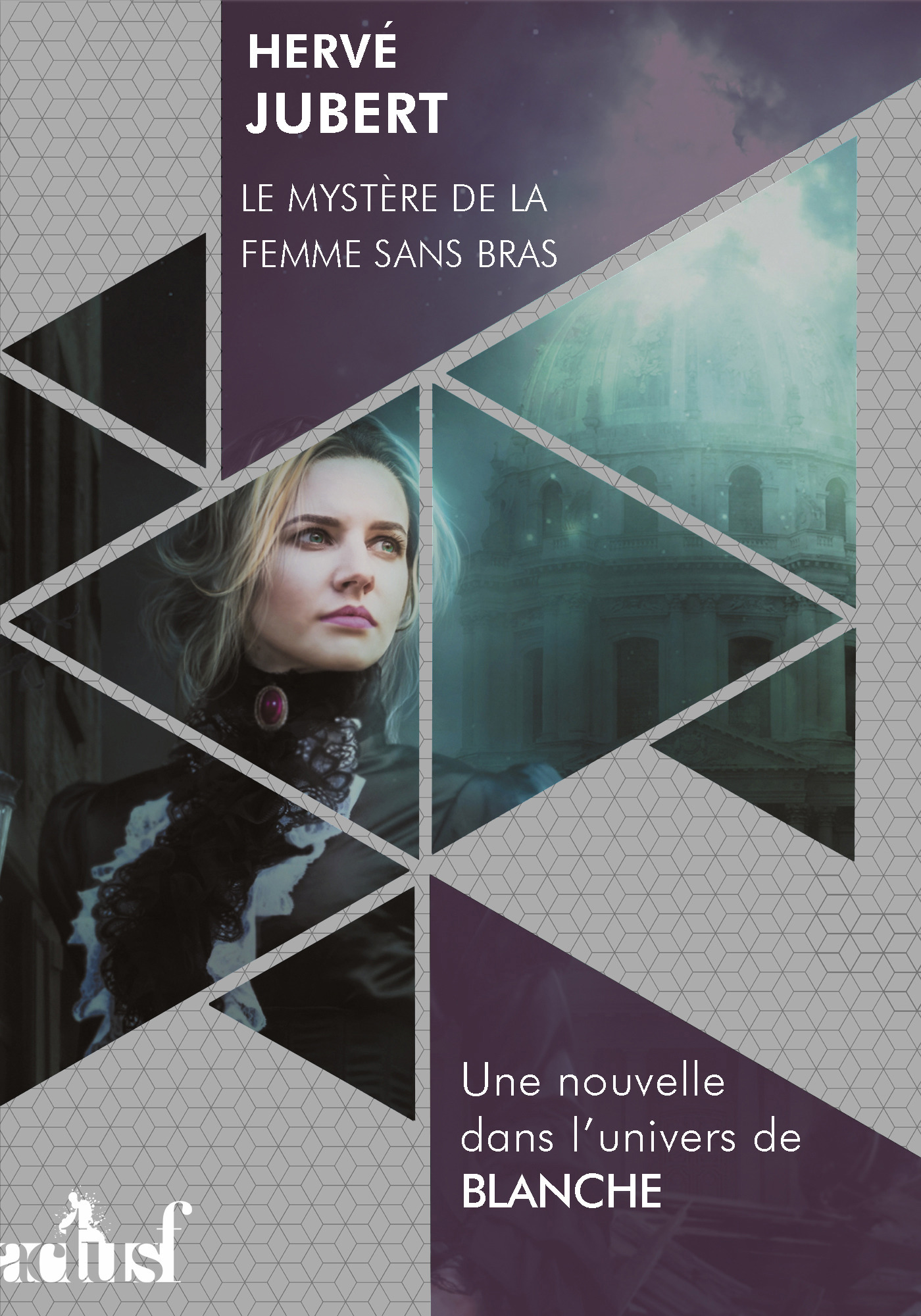 ebook cover of Le mystère de la femme sans bras, by Hervé Jubert