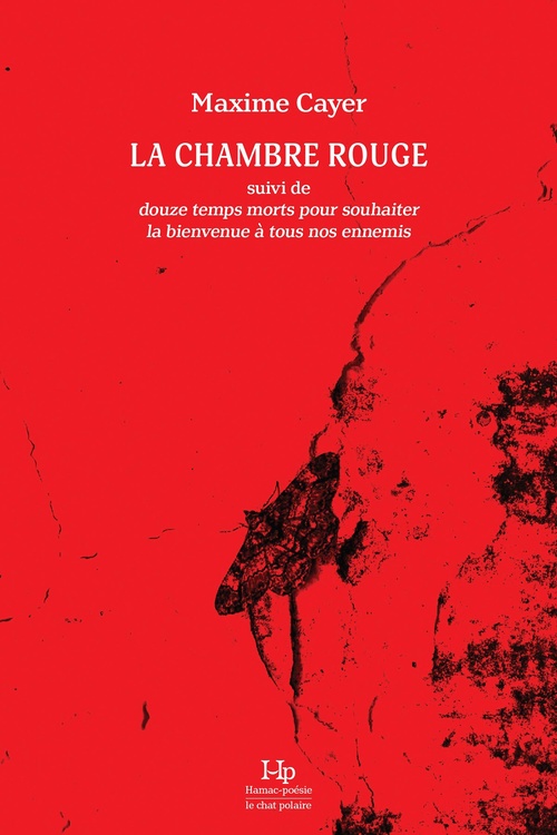 ebook cover of La chambre rouge, by Maxime Cayer