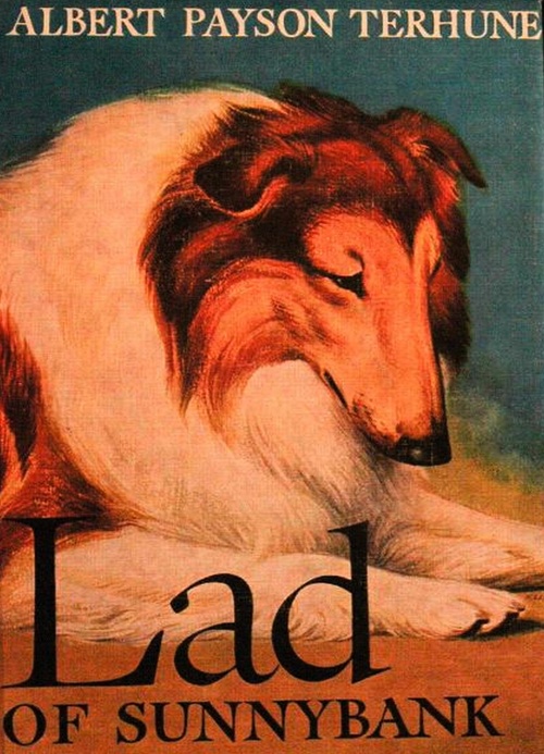 Couverture ebook de Lad of Sunnybank, de Albert Payson Terhune
