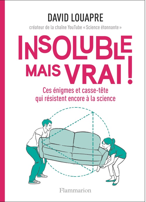 Couverture ebook de Insoluble mais vrai ! Ces énigmes et casse-tête qui résistent encore à la science, de David Louapre