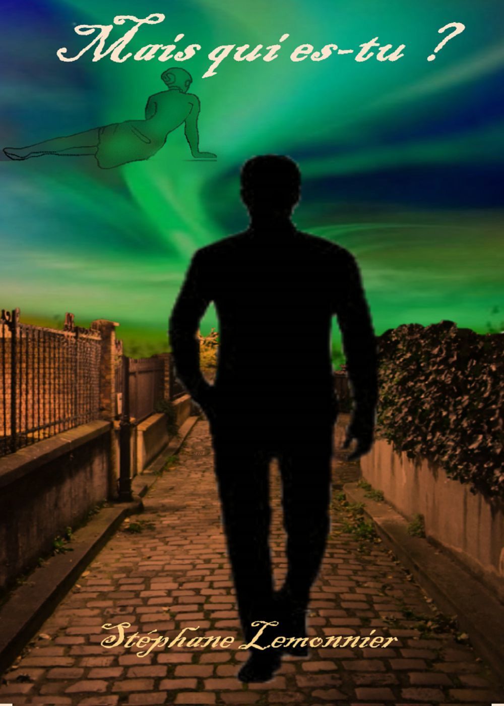 Couverture ebook de Mais qui es-tu ?, de Stéphane Lemonnier