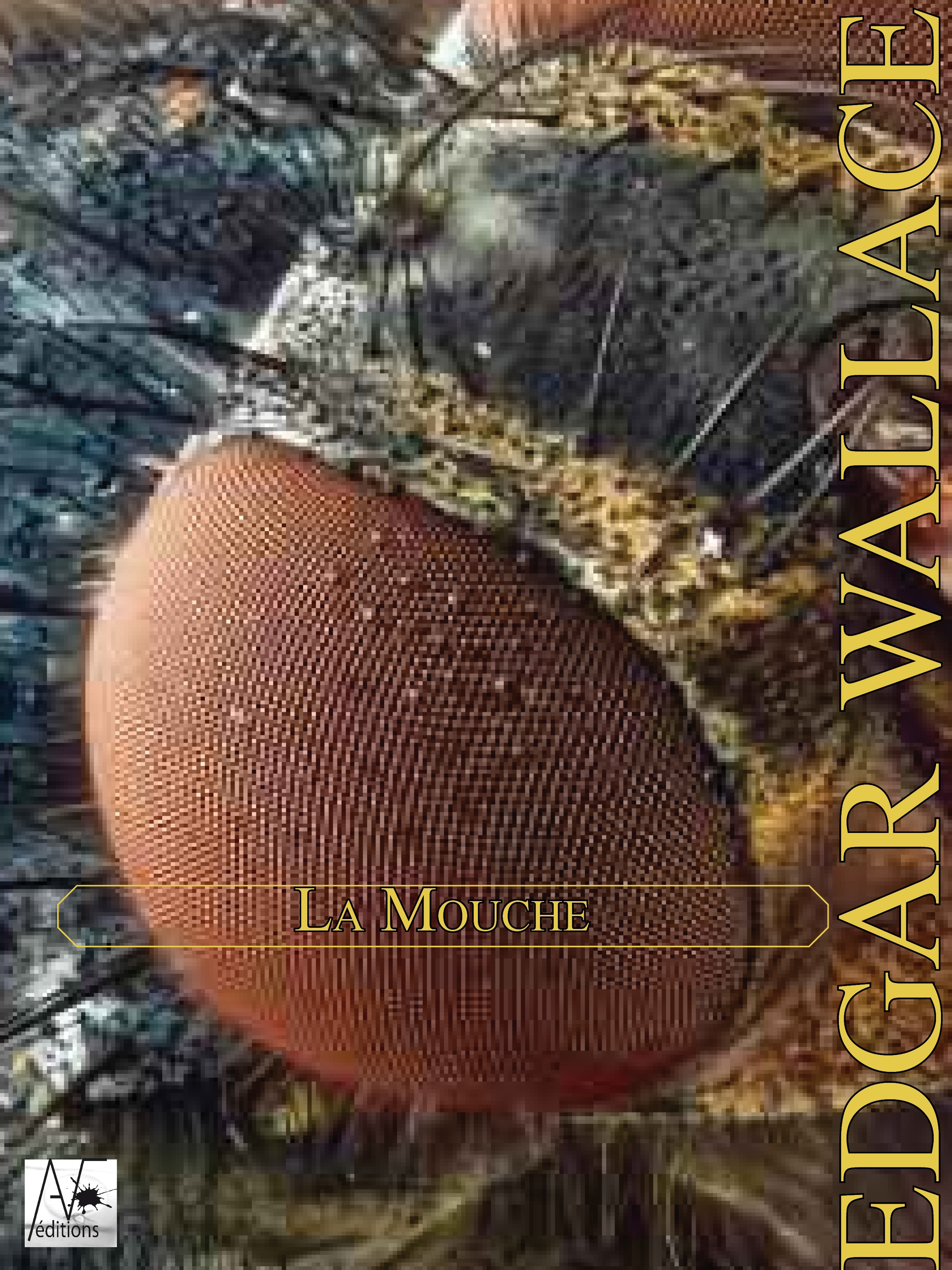 ebook cover of La Mouche, by Edgar Wallace