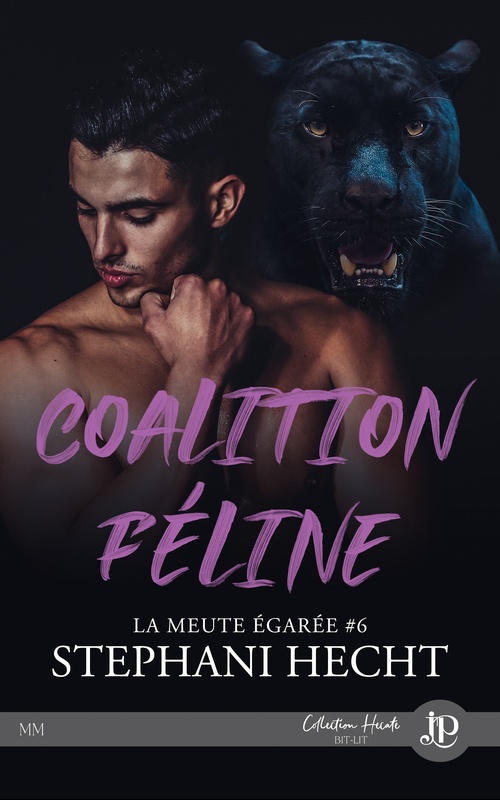 Couverture ebook de Coalition féline, de Stephani Hecht