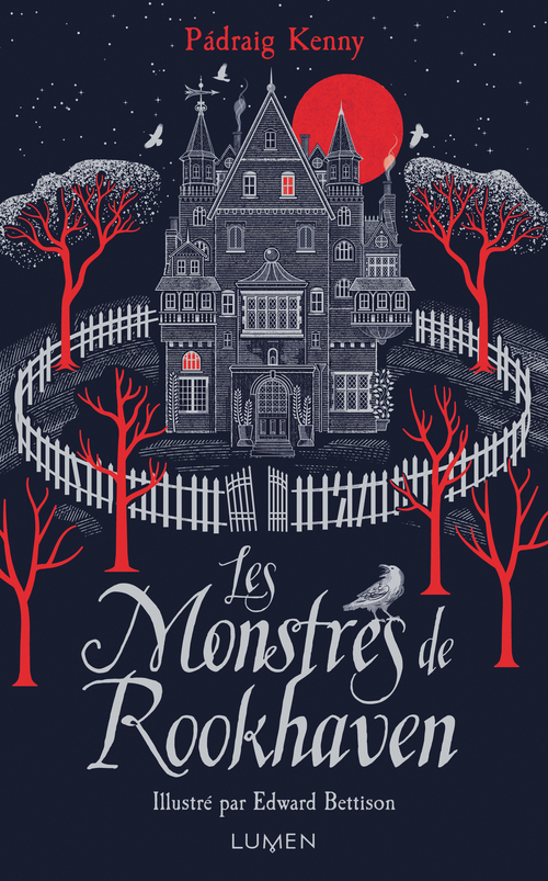 ebook cover of Les Monstres de Rookhaven, by Pádraig Kenny