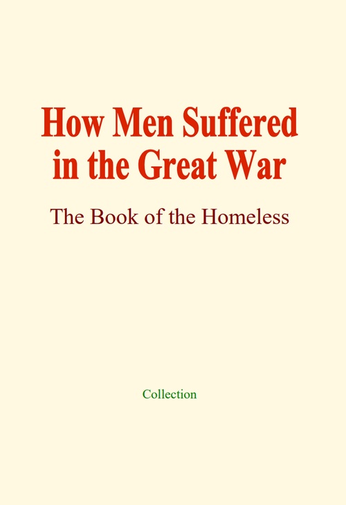 ebook cover of How Men Suffered in the Great War, by Collection