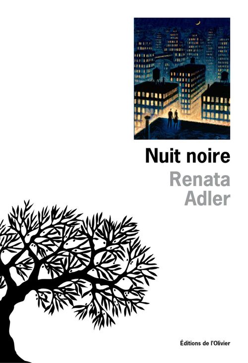 ebook cover of Nuit noire, by Renata Adler