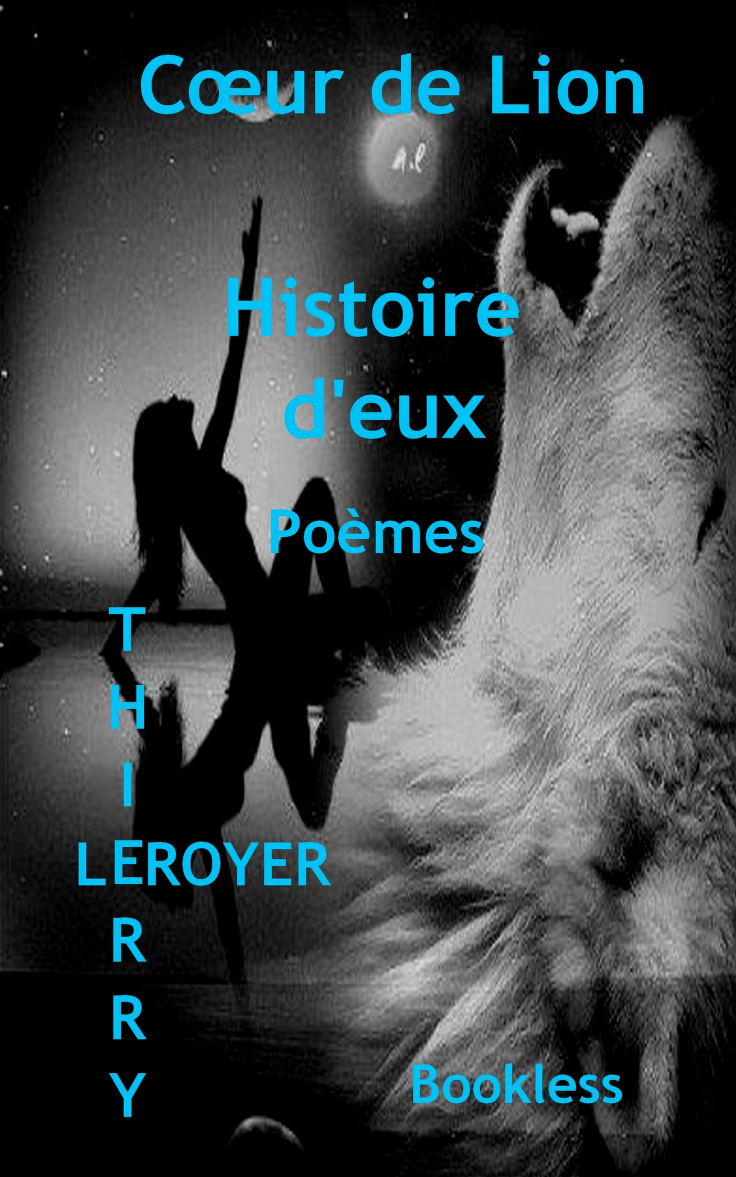 Couverture ebook de Histoire d'eux, de Bookless-Editions Thierry Leroyer