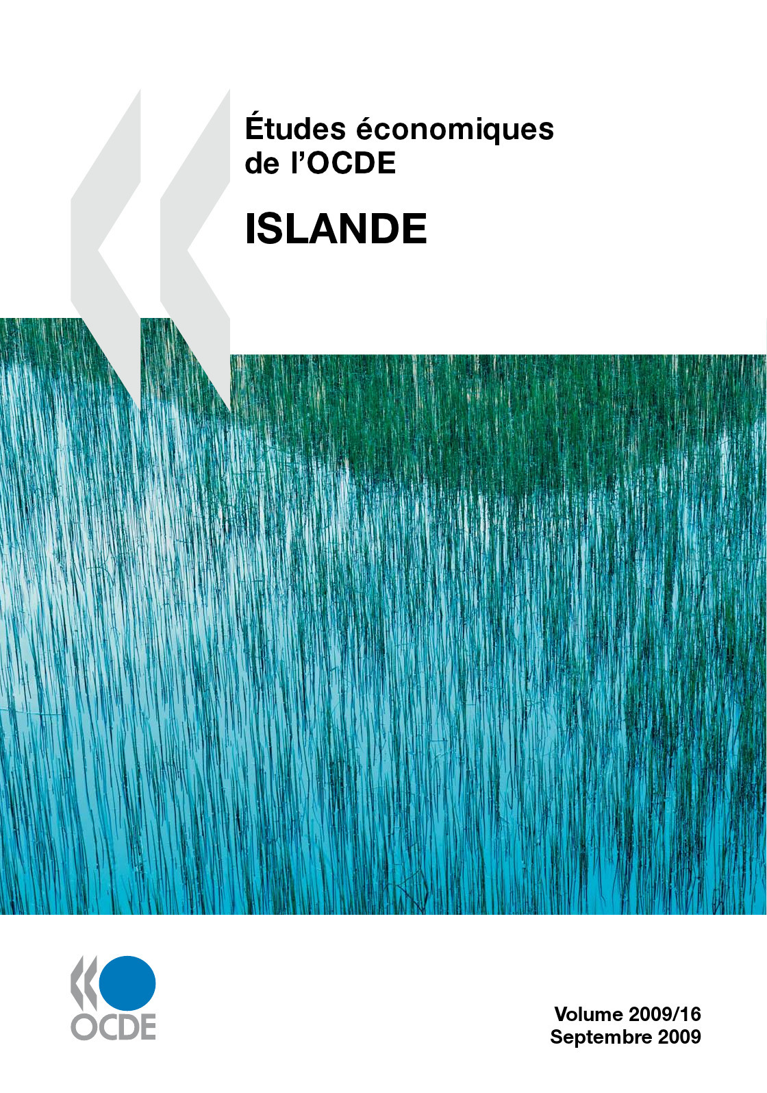 ebook cover of Études économiques de l'OCDE : Islande 2009, by Collectif