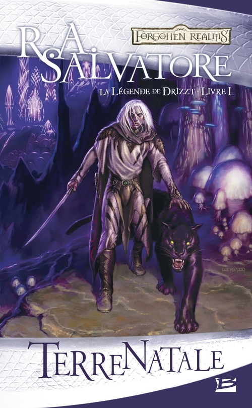 Couverture ebook de La Légende de Drizzt, T1 : Terre natale, de R. A. Salvatore