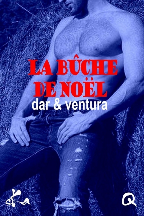 ebook cover of La bûche de Noël, by Dar Et Ventura