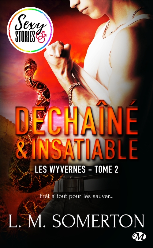 Couverture ebook de Les Wyvernes, T2 : Déchaîné et insatiable - Sexy Stories, de L.M. Somerton