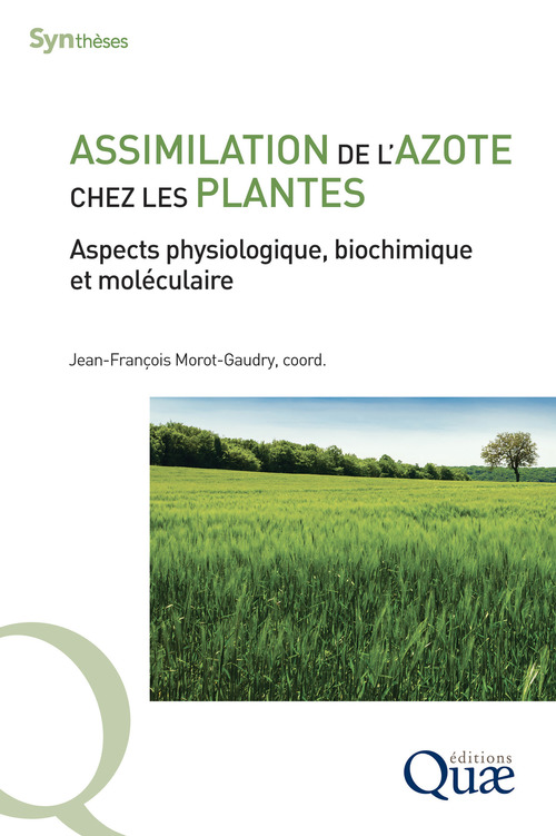 ebook cover of Assimilation de l'azote chez les plantes, by Jean-François Morot-Gaudry