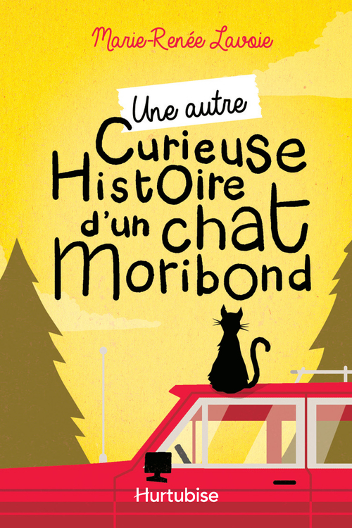 ebook cover of Une autre curieuse histoire d'un chat moribond, by Marie-Renée Lavoie