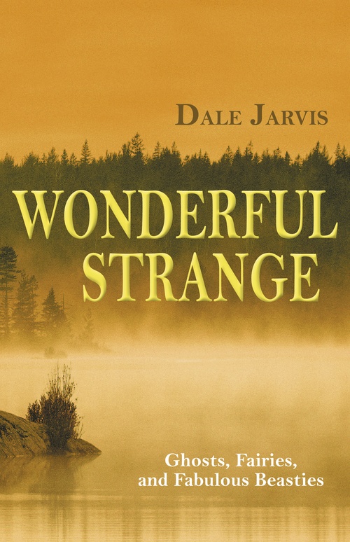 ebook cover of Wonderful Strange, by Dale Jarvis