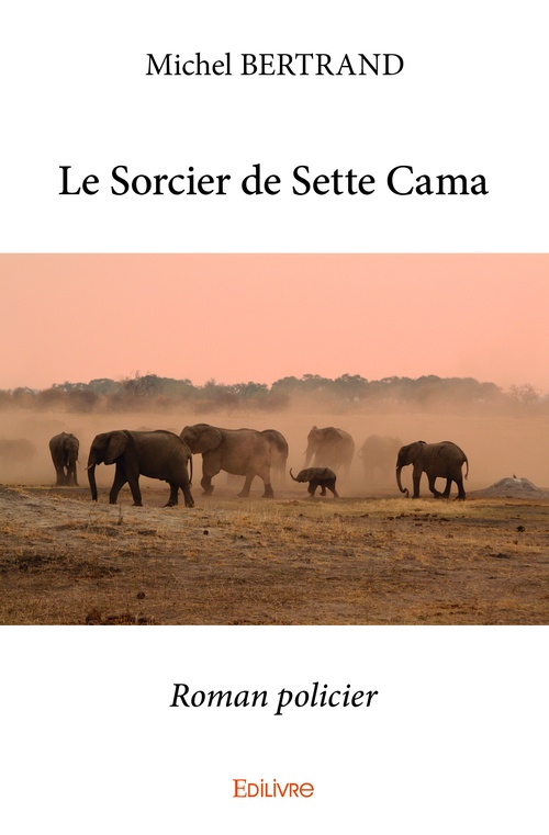 ebook cover of Le Sorcier de Sette Cama, by Michel Bertrand