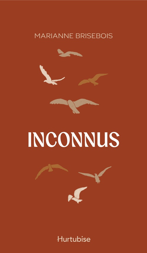 ebook cover of Inconnus, by Marianne Brisebois