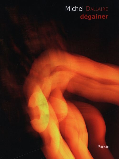 ebook cover of Dégainer, by Michel Dallaire