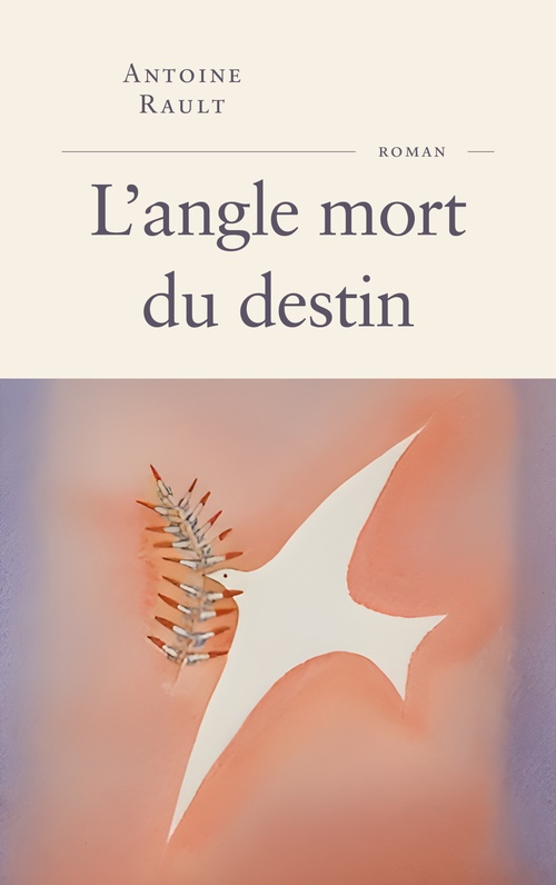 ebook cover of L'angle mort du destin, by Antoine Rault