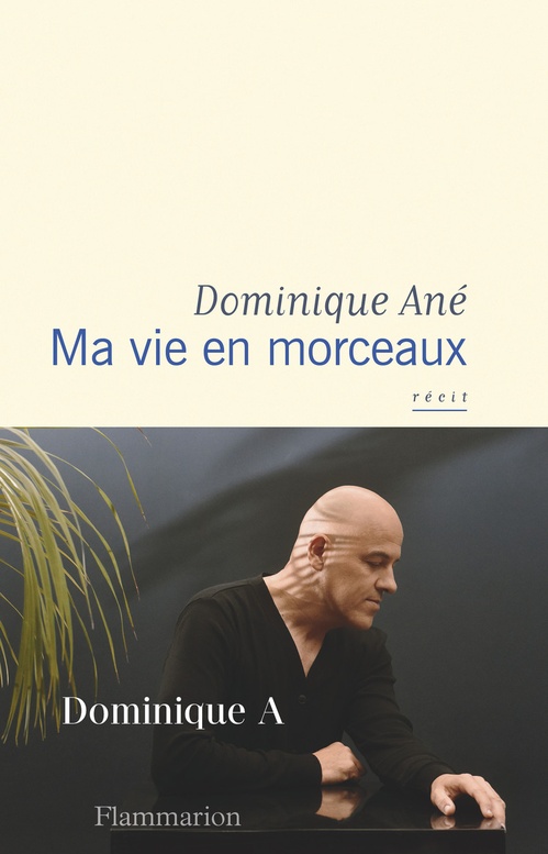 Couverture ebook de Ma vie en morceaux, de Dominique Ané