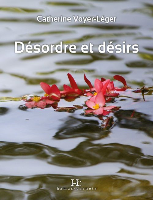 ebook cover of Désordre et désirs, by Voyer-Leger Catherin