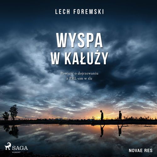 audiobook cover of Wyspa w kaluzy, by Lech Foremski