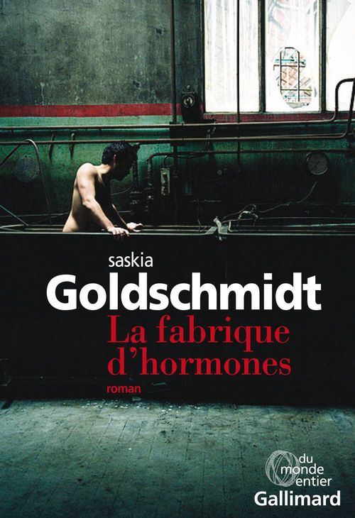 ebook cover of La fabrique d'hormones, by Saskia Goldschmidt