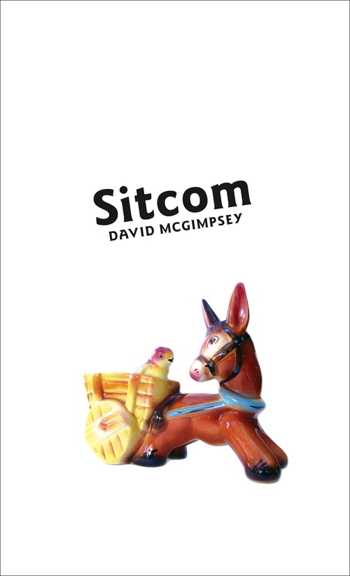 ebook cover of Sitcom, by David Mcgimpsey