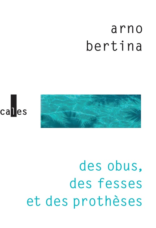 ebook cover of Des obus, des fesses et des prothèses, by Arno Bertina