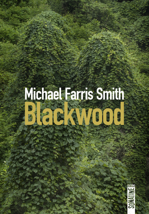 Couverture ebook de Blackwood, de Michael Farris Smith