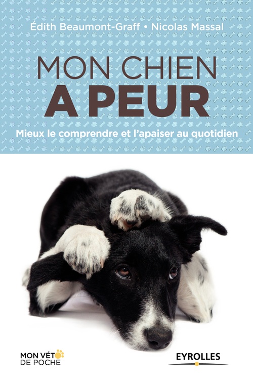 ebook cover of Mon chien a peur, by Nicolas Massal