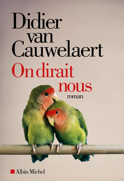 Couverture ebook de On dirait nous, de Didier Van Cauwelaert