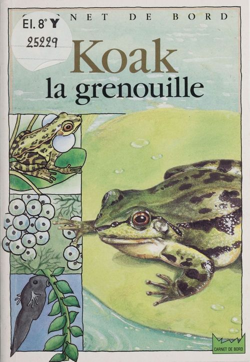 Couverture ebook de Koak la grenouille, de Christine Lazier